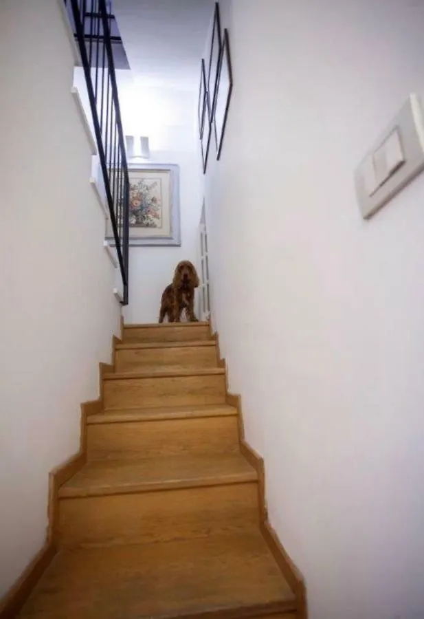 Alba Home Palermo Apartment